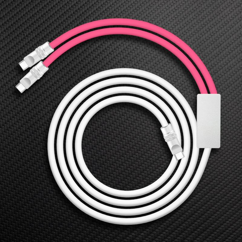 "Duo-Flex vivid" 2 IN 1 100W Charge Cable 2025.11.14