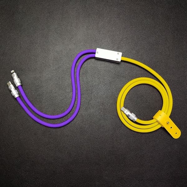 "Chubby" 2 IN 1 100W Charge Cable